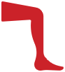 leg